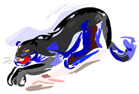 Panther-Traumbild,